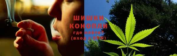 трава Аркадак