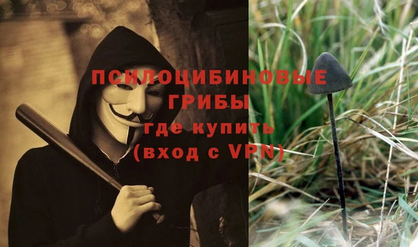винт Армянск