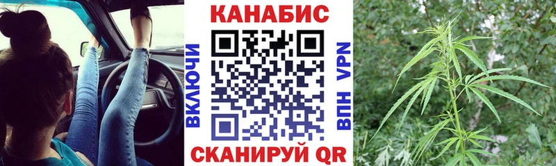 Купить  Верея  Каннабис сатива 
